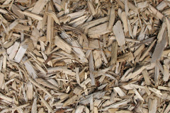 biomass boilers Burneside